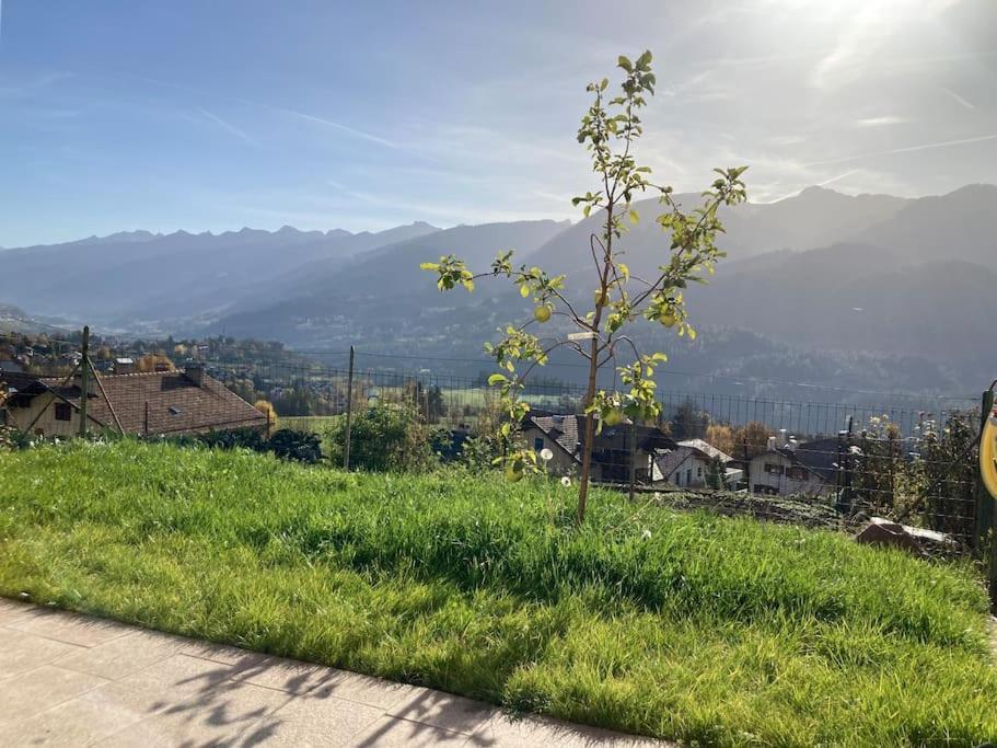 Casa Diaf Incantevole Di Fiemme Holiday home